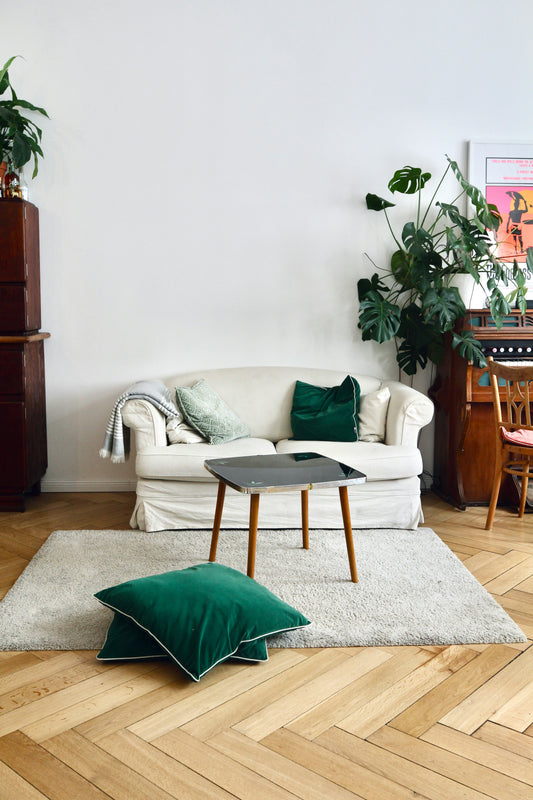 Cosy living room with a beige sofa and green plants